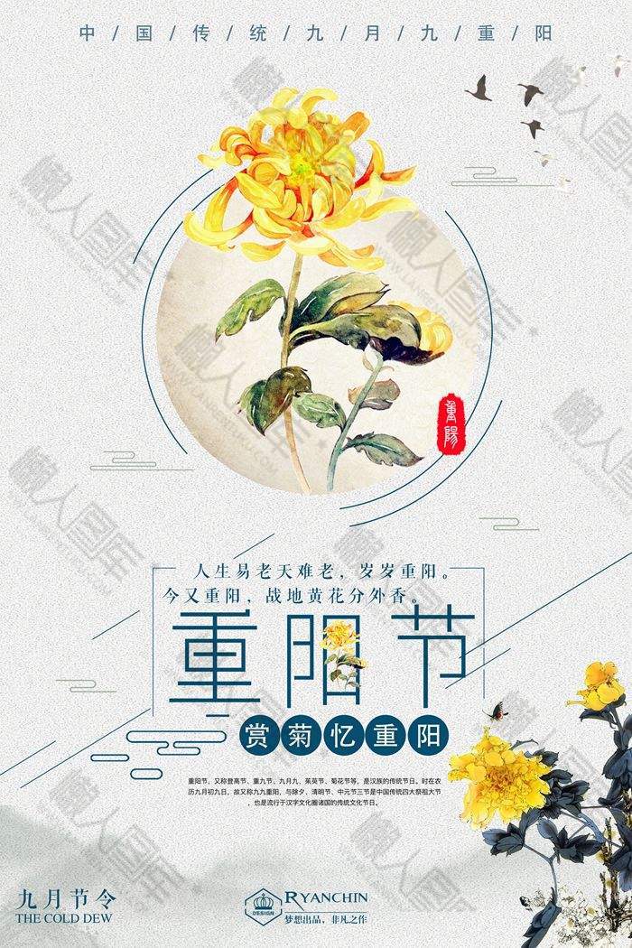 赏金菊忆重阳节日海报