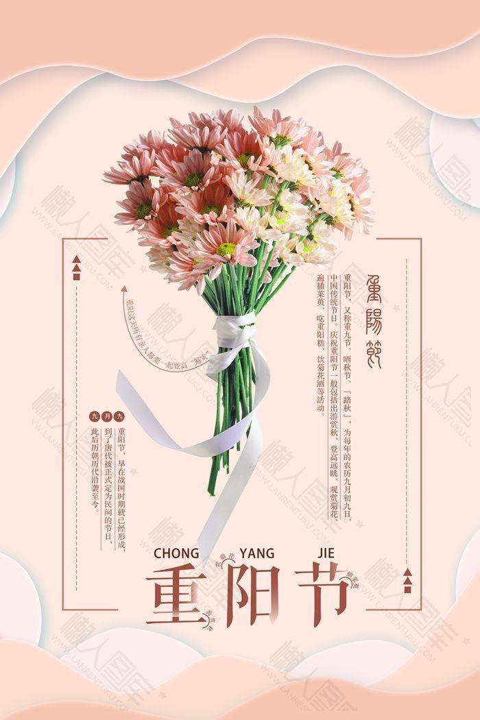 重阳佳节粉菊主题宣传海报