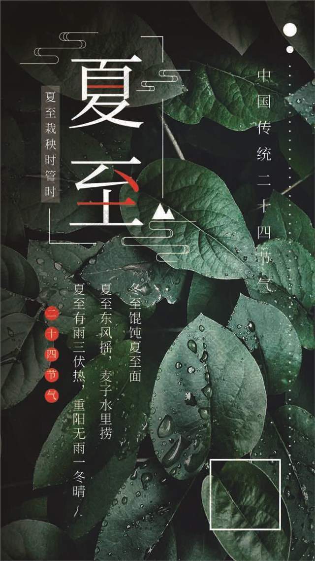 简约大气二十四节气夏至节日节气手机海报图1