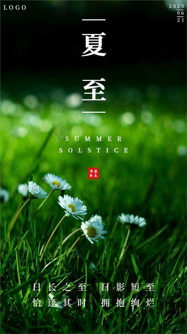 绿色植物传统节气夏至节日海报