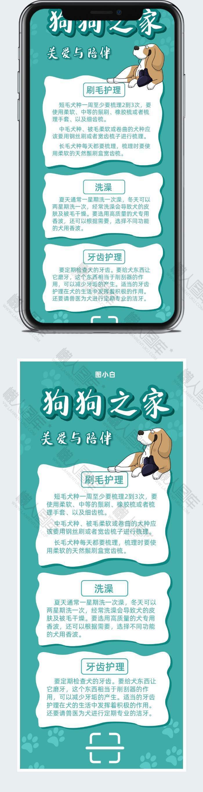 宠物狗狗护理宠物店宠物知识宣传图1