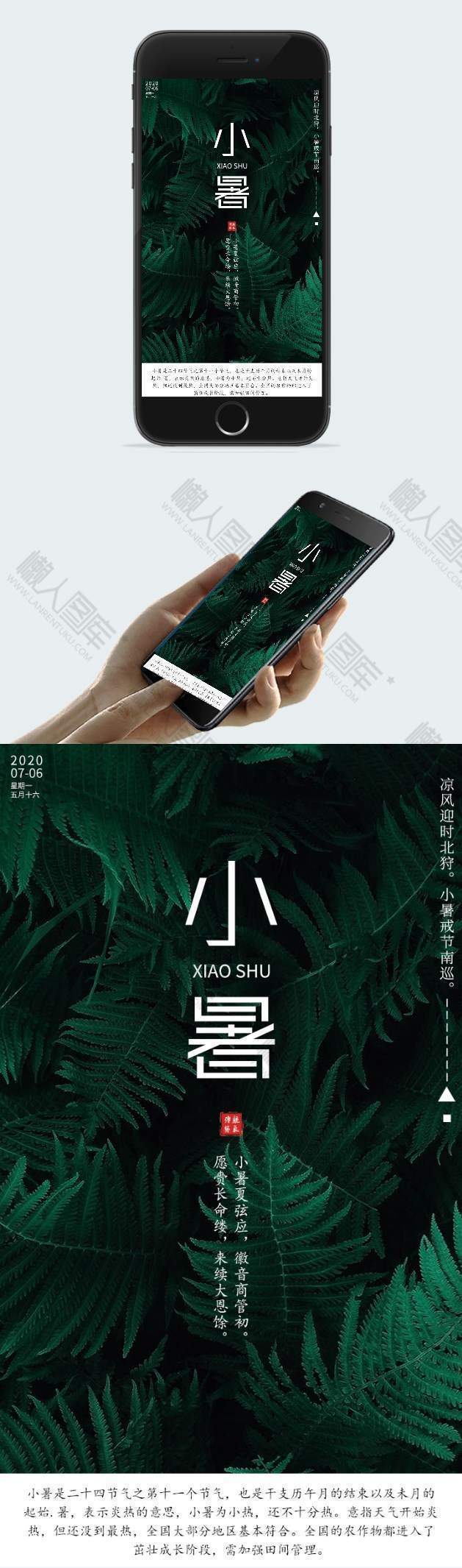 绿色植物创意小暑手机海报