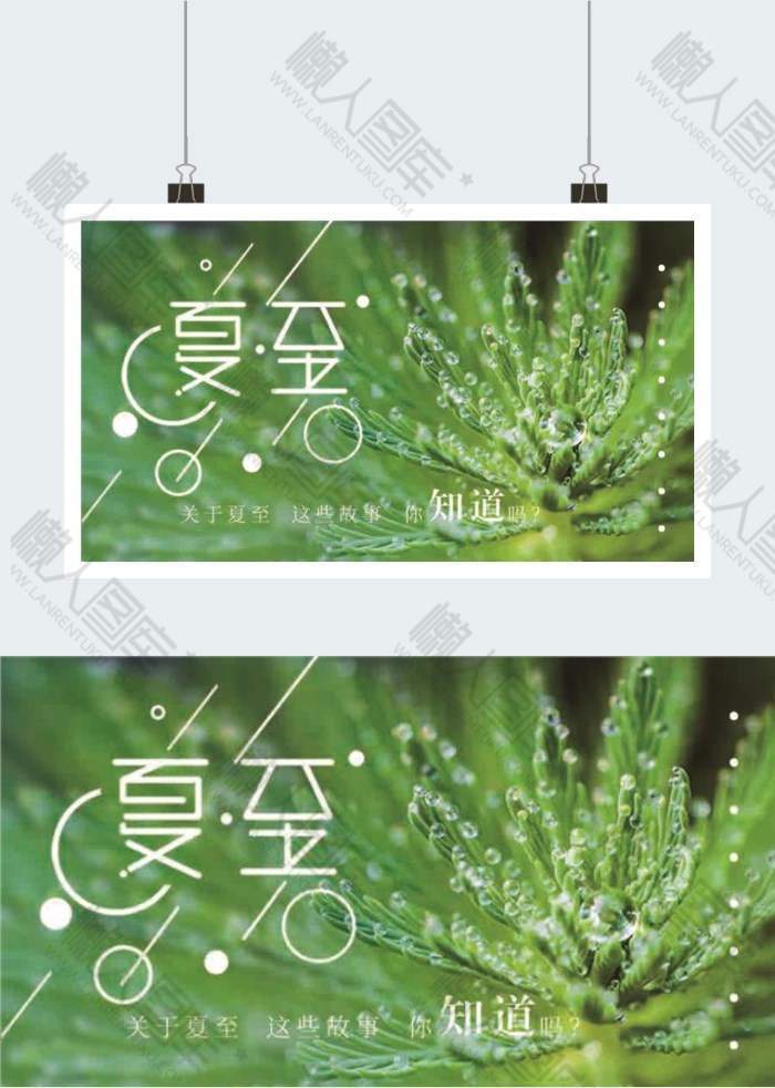 夏至绿色植物简约横版海报图1