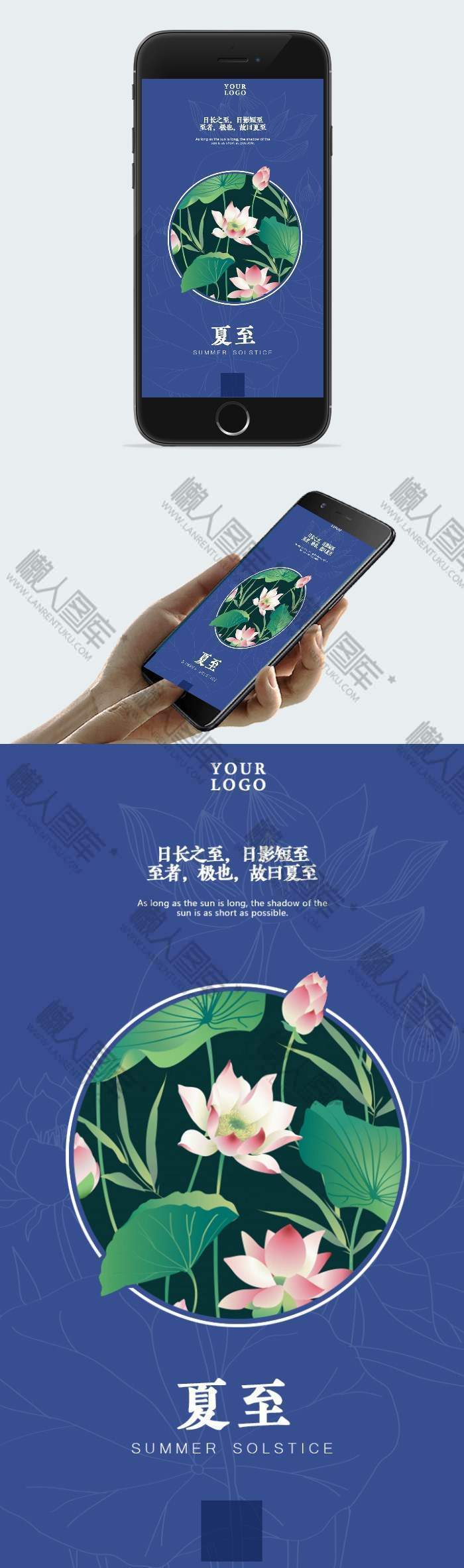 清新荷花图片图1