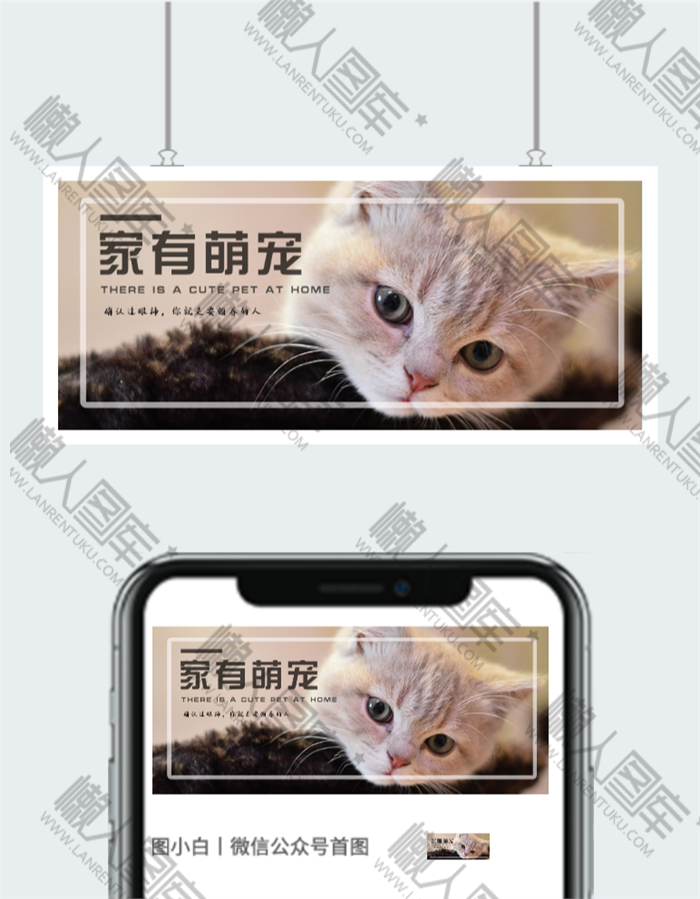 萌宠广告微信公众号图片图2