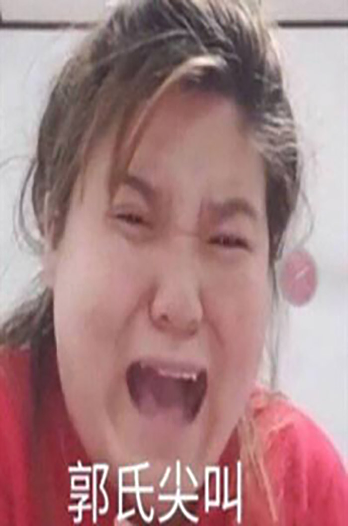 郭氏尖叫表情包图1