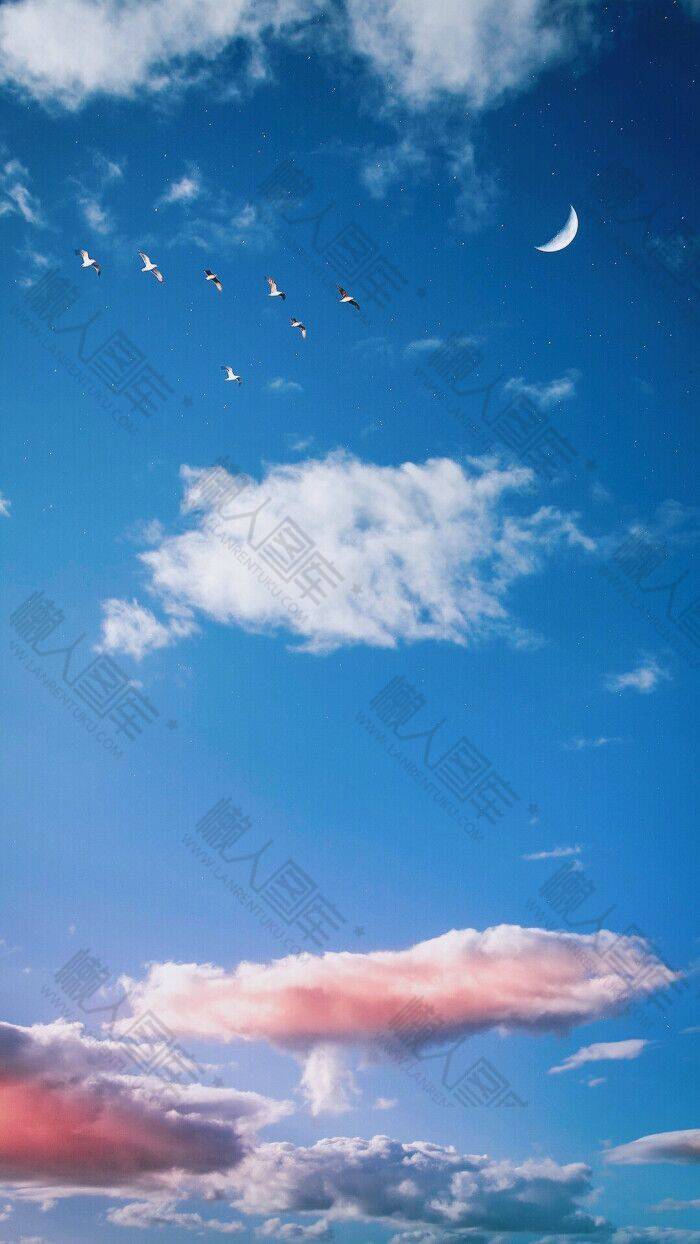 清新壁纸图1