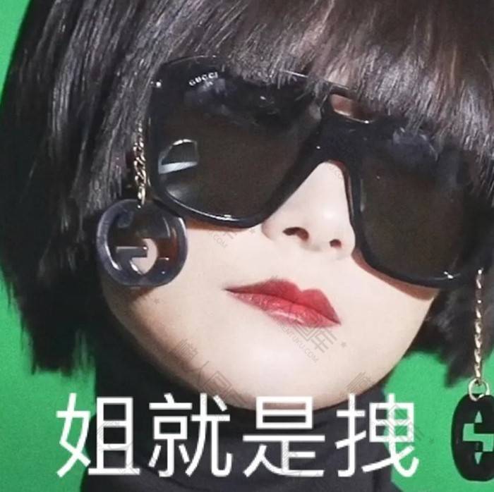 抖音无价之姐表情包图1