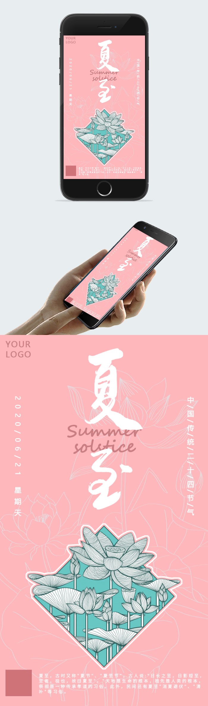 粉色清新荷花夏至图片图2