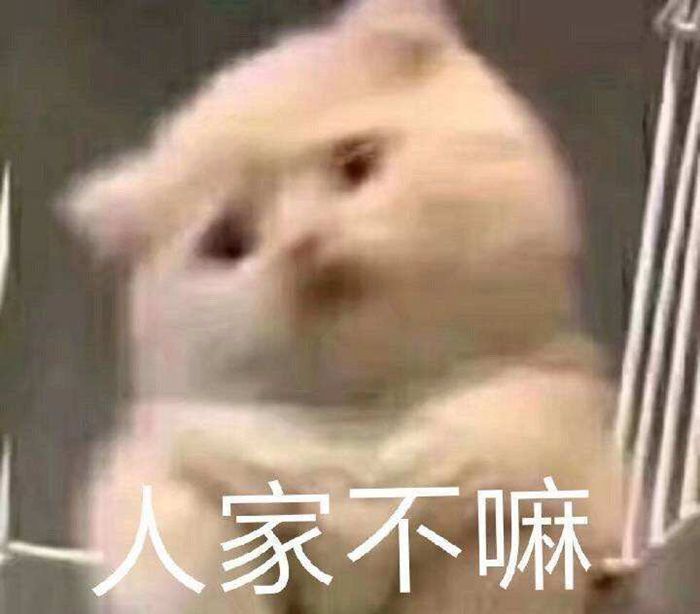 人家不嘛猫咪表情包