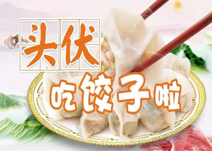 头伏吃饺子图片大全图片