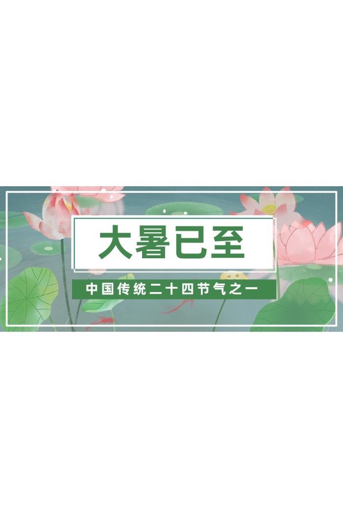 池塘荷花大暑节气图片图2