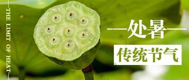 绿色清新处暑海报