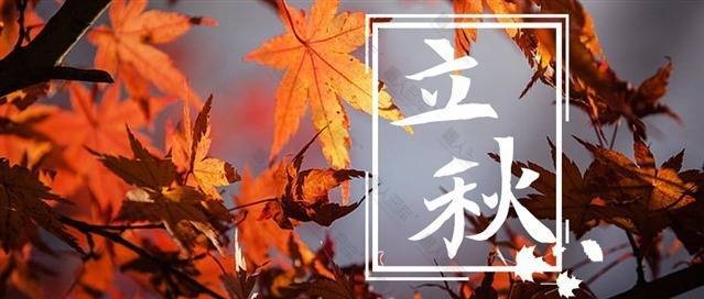 枫叶背景立秋公众号首图图1