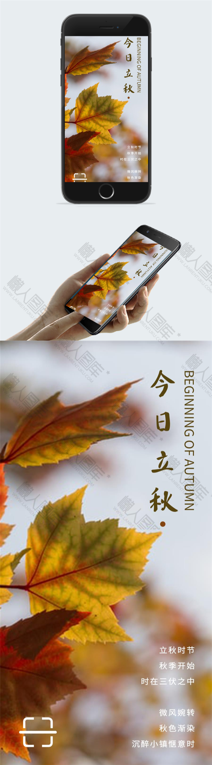立秋宣传海报设计图2