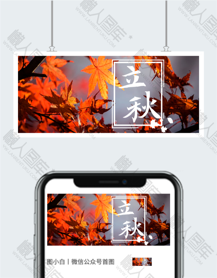 枫叶背景立秋公众号首图图2