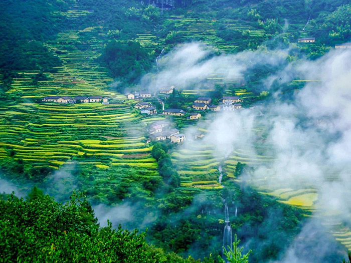 李子柒同款夏天图片