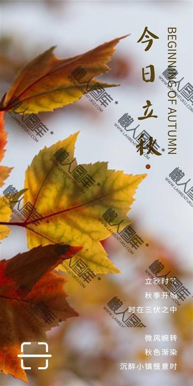 今日立秋图片素材图1