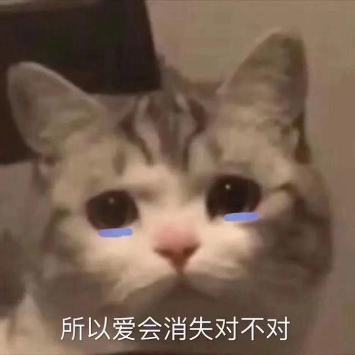 所以爱会消失对不对表情包图1