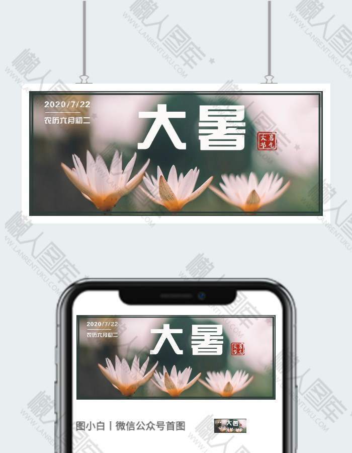 简约大方大暑节气宣传公众号用图