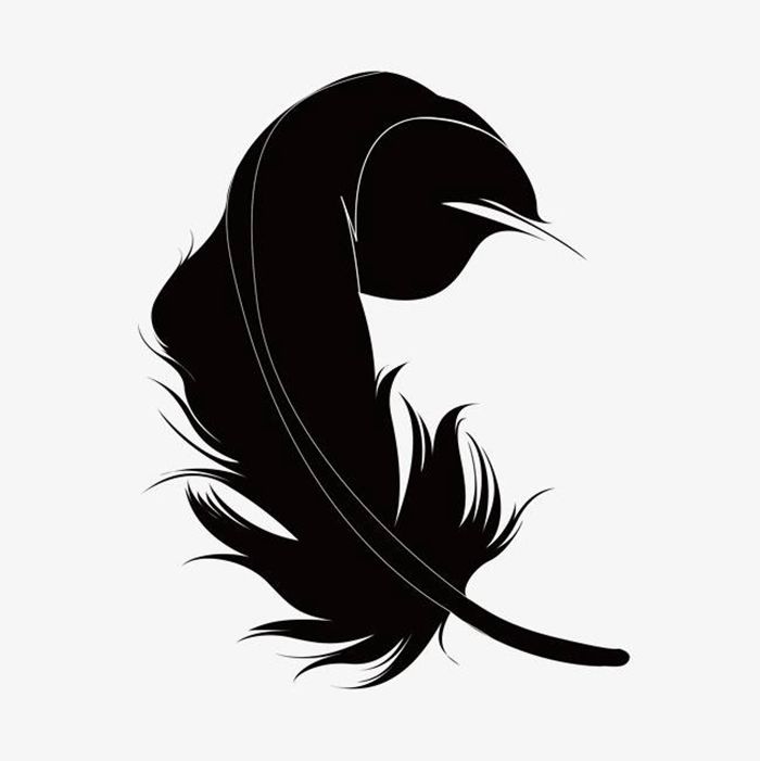 黑羽毛造型抠图素材