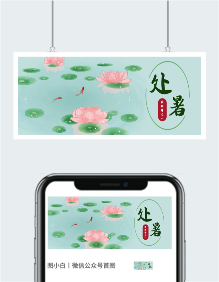 荷花处暑图片图2