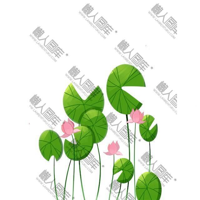 夏日荷花配图插画图1