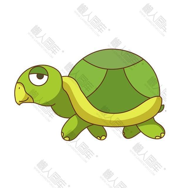 绿色乌龟插画图片图1
