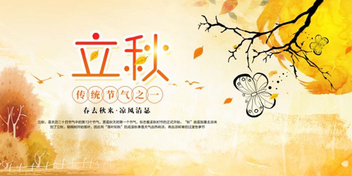 八月立秋海报图片图1