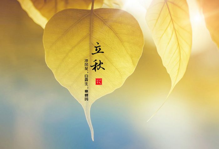 创意立秋节气海报图1