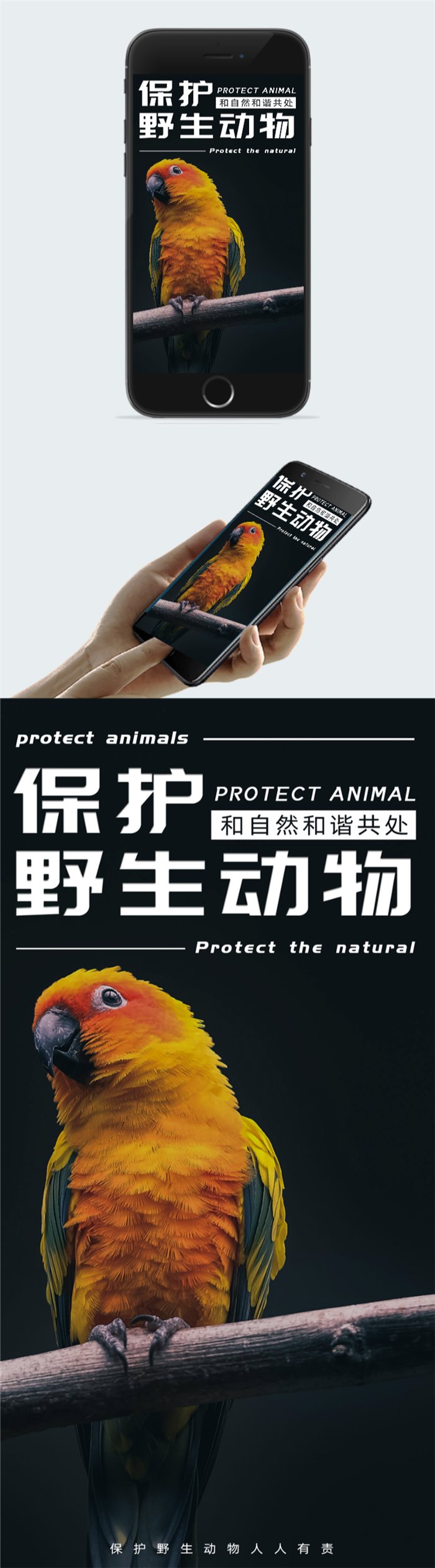 保护野生动物公益图片图2