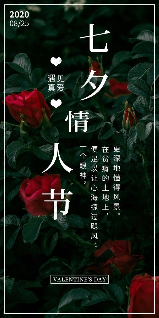 七夕情人节玫瑰花表白带字图片