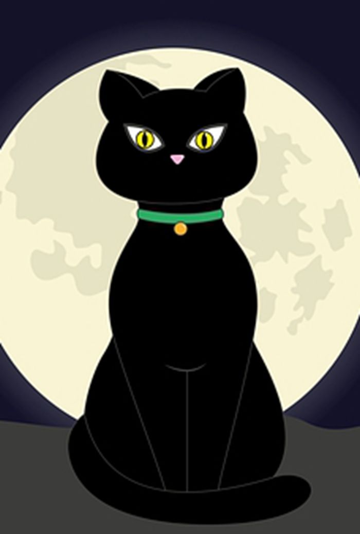 黑猫动漫冷艳图片