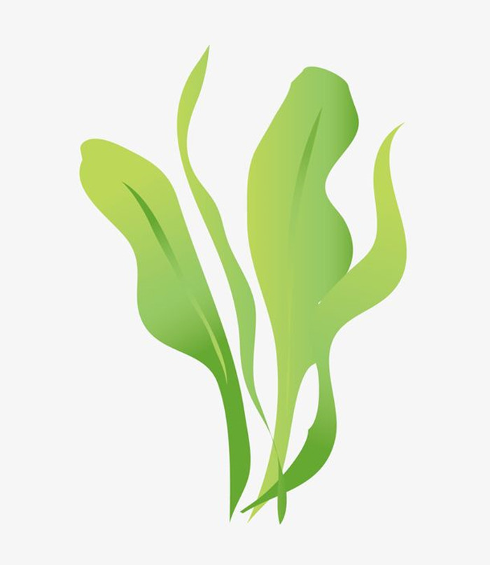绿色海洋植物矢量图图1