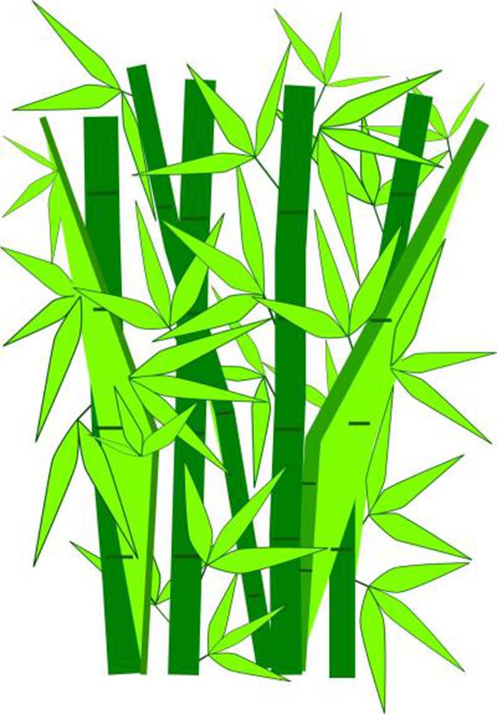 竹子插画素材图1