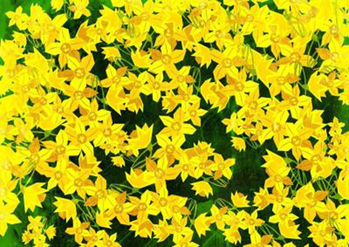 手绘小花花图片图1