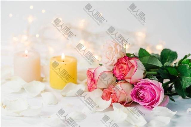 情人节玫瑰花免抠素材图1
