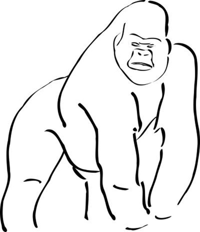 大猩猩简笔画图片图1