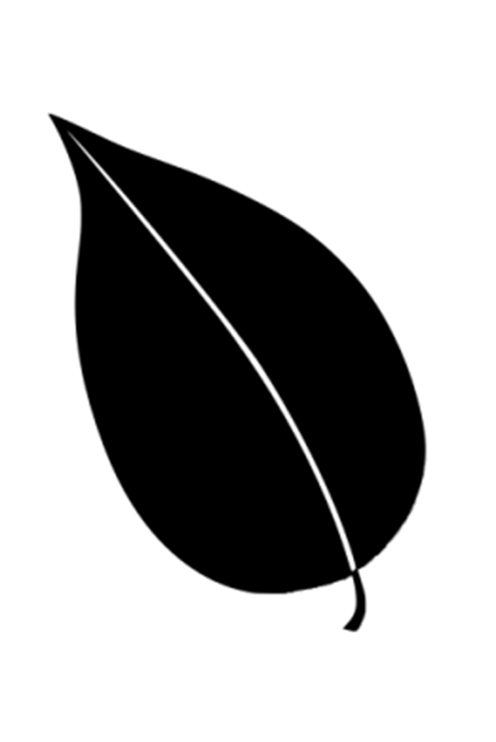 叶子矢量图图1