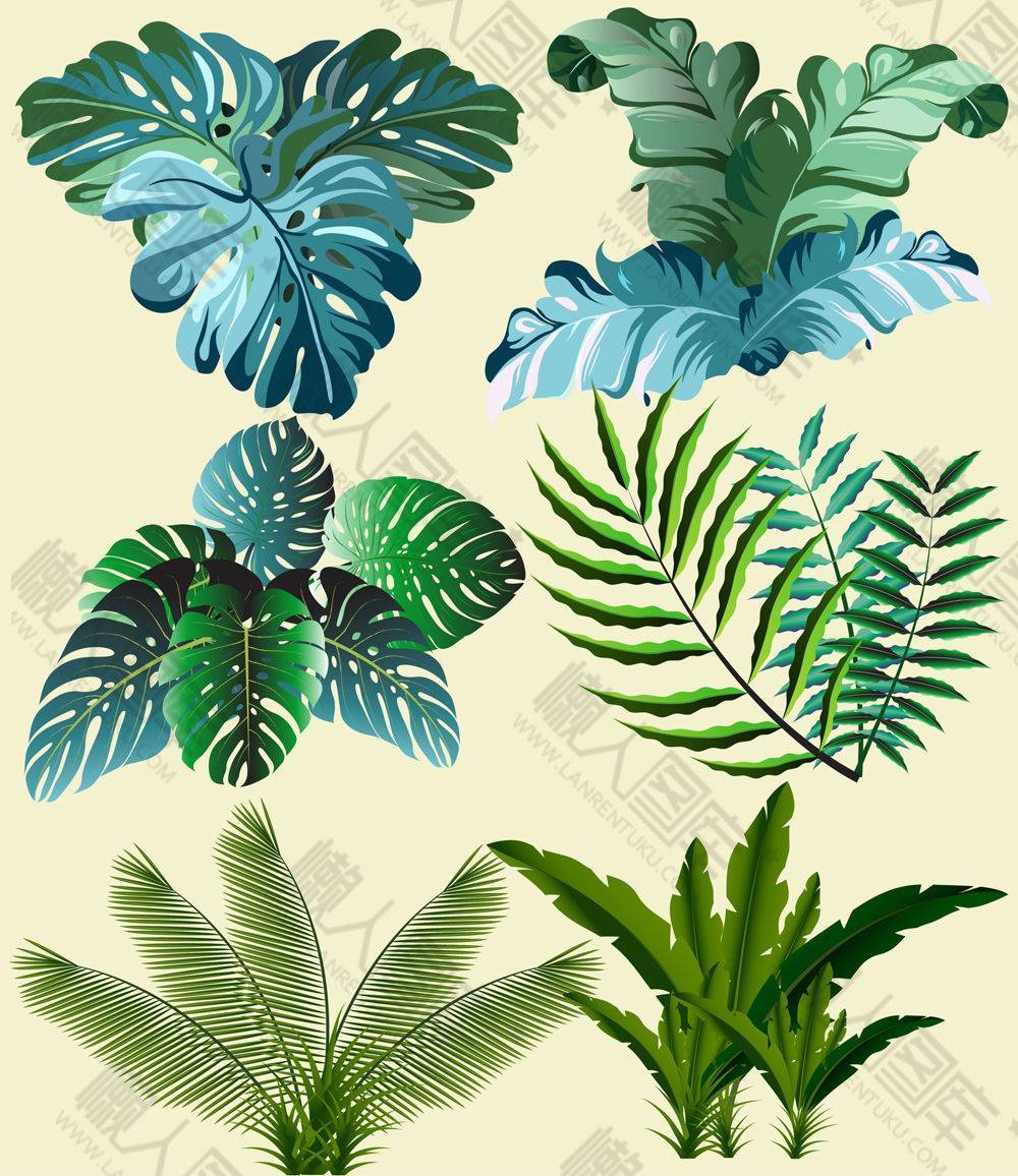 热带植物树叶矢量素材