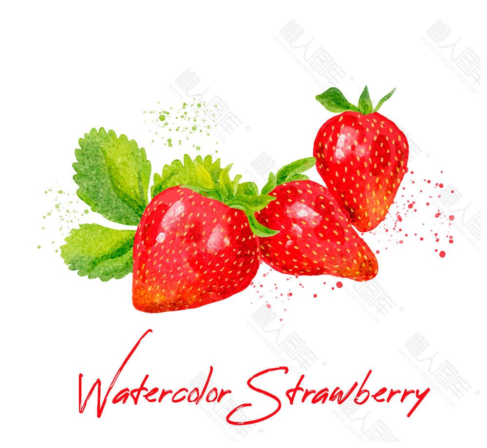 水彩草莓矢量图