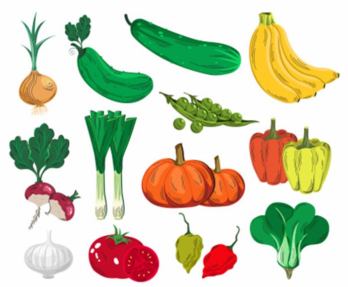 卡通彩色蔬菜矢量图标