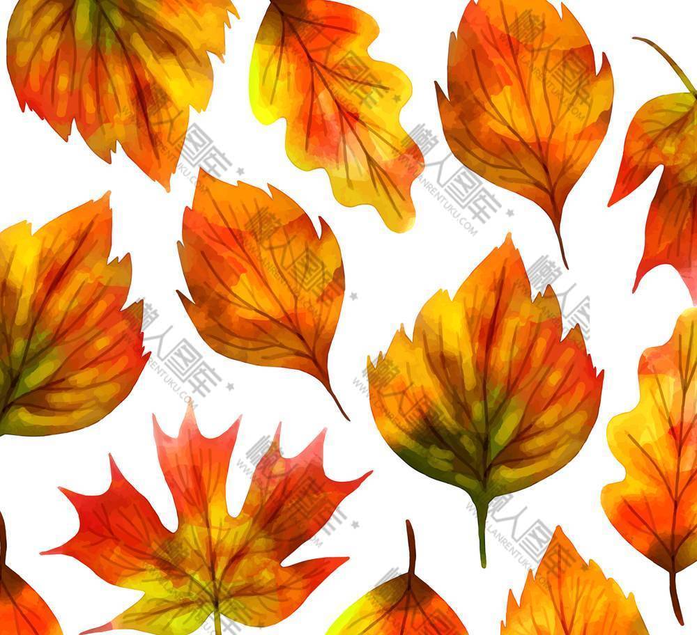 秋季树叶无缝背景图片