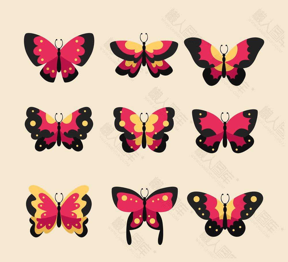 蝴蝶标本矢量图