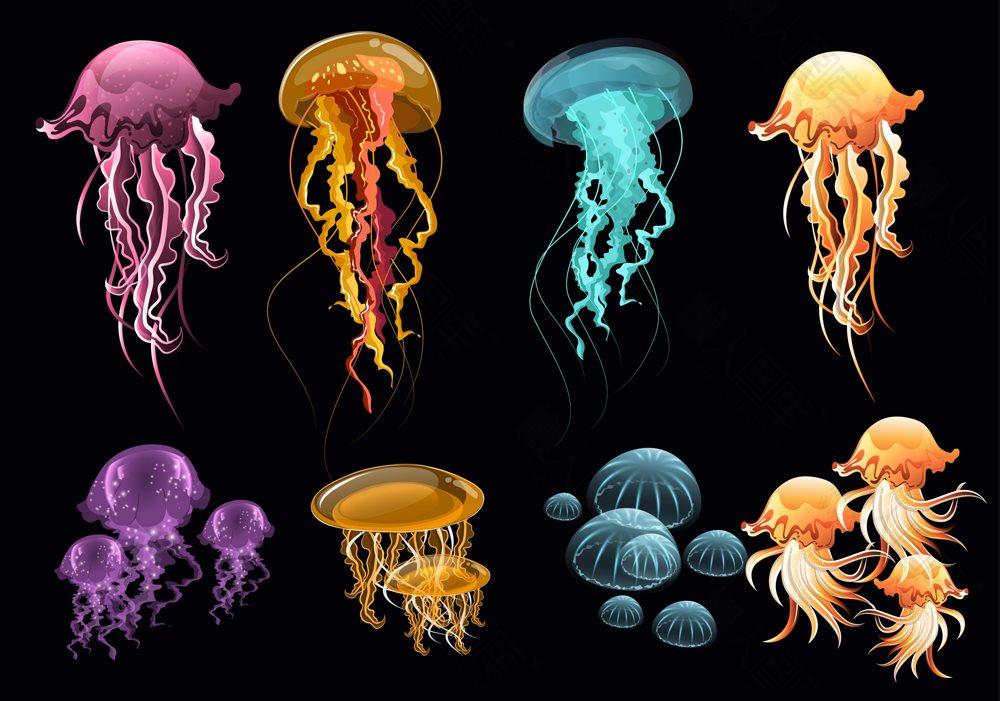 彩色透明水母图片