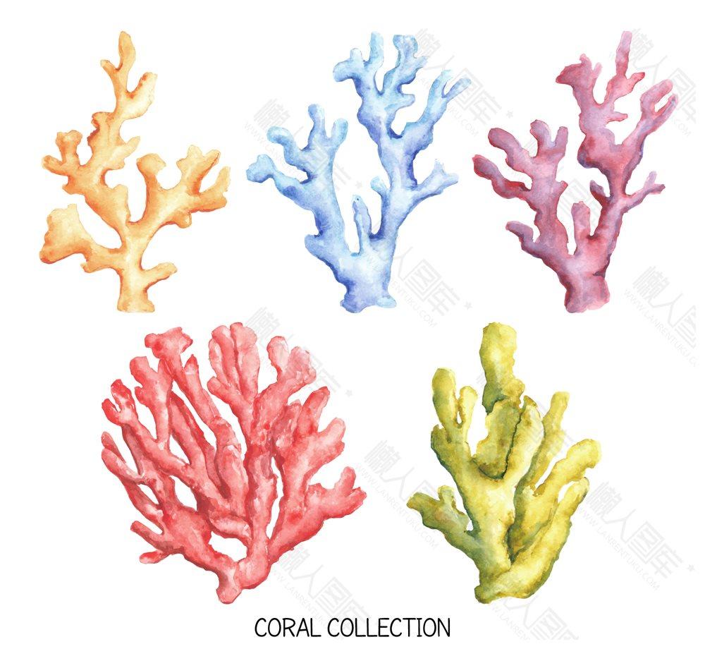海底珊瑚矢量图