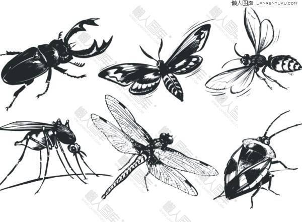 常见黑白昆虫素描矢量素材