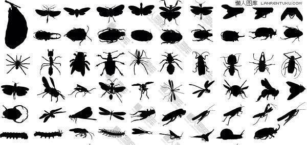 多种AI格式昆虫剪影矢量素材