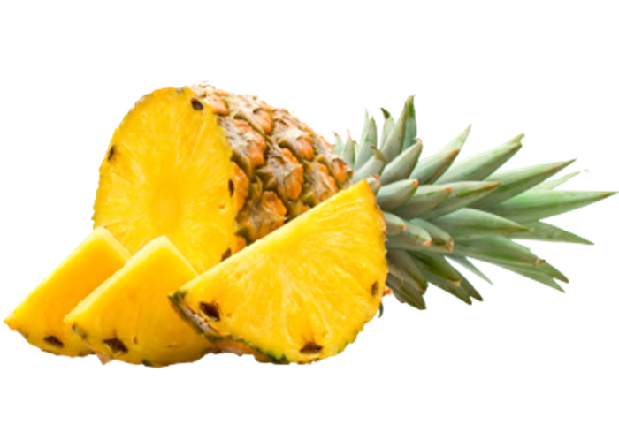 凤梨矢量素材图1