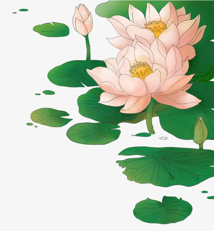 夏日荷塘美景矢量图图1